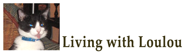 Livingwithloulou.com