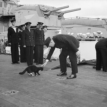 350px-Blackie_and_Churchill