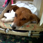 IMG00137-20131119-1245