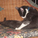 Mama in Loulou disguise