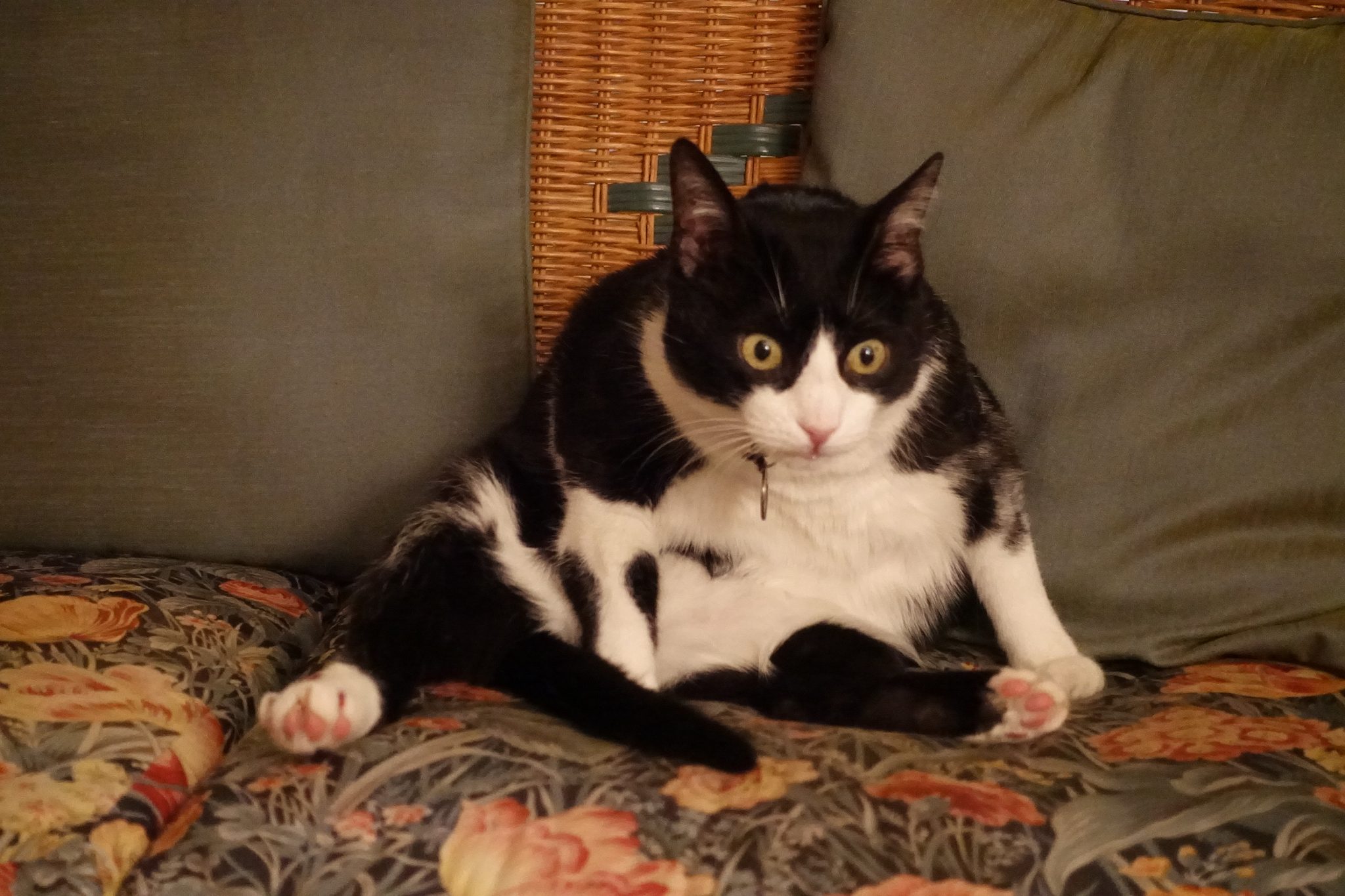 Cop-ping out - livingwithloulou.com