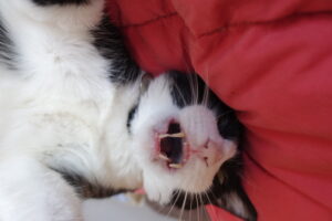 Shhhh, Wednesday