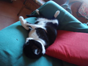 Wordless and We-laxing