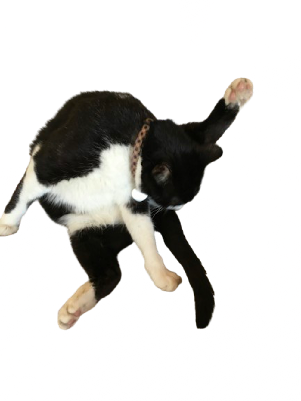 Yoga Time on Tuesday